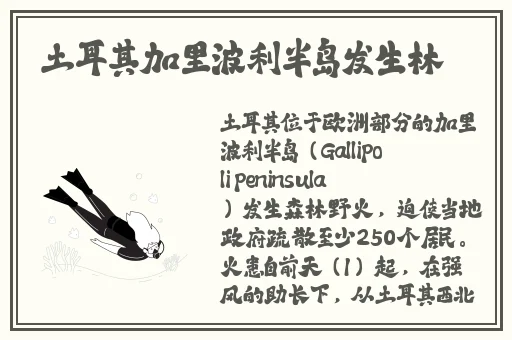 **WC欧美精品